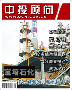寶塔石化:多元經營的民營石化企業