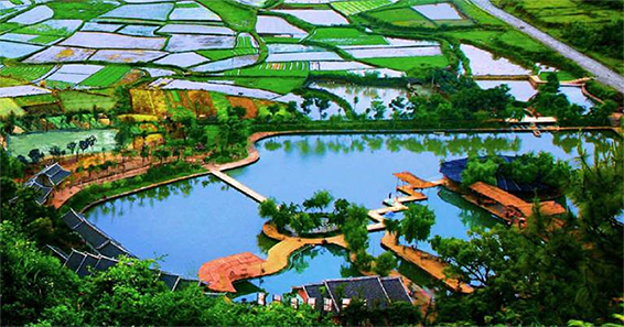 湖北博景園生態農業發展規劃 
