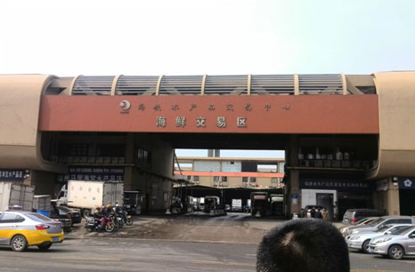 圖為調研福州馬尾海峽水產批發市場