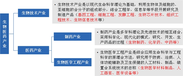 生物醫藥產業由生物技術產業與醫藥產業共同組成
