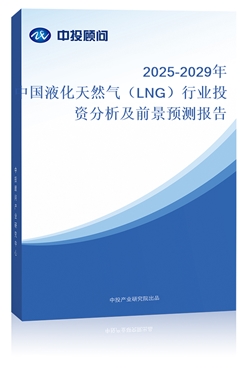 2025-2029ЇҺȻ⣨LNGИIͶYǰAy