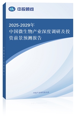 2025-2029Ї΢aI{мͶYǰAy