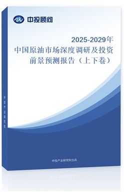2025-2029ЇԭЈ{мͶYǰAy棨¾