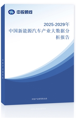 2025-2029ЇԴ܇aI󔵓