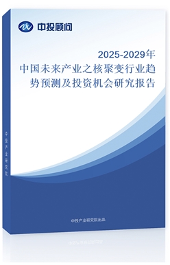 2025-2029ЇδaI֮˾׃ИIڅAyͶYCо