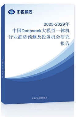 2025-2029ЇDeepseekģһwCИIڅAyͶYCо