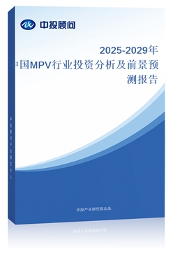 2025-2029ЇMPVИIͶYǰAy