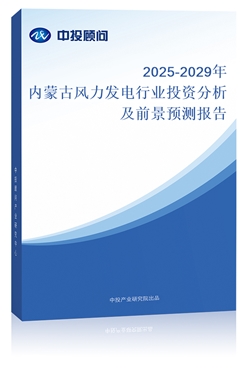 2025-2029ɹLlИIͶYǰAy